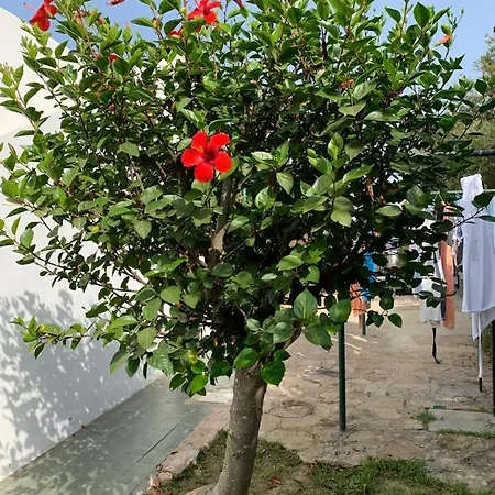 Casa Degli Gnomi Holiday home *